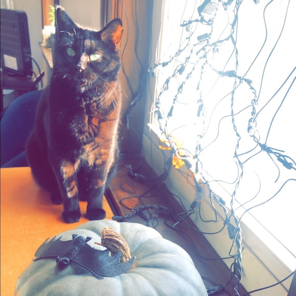 Meet your Posher, Leanne - Picture 10 of 13